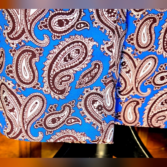 12P, Banana Republic Avery pants featuring a blue paisley print. - Picture 2 of 12